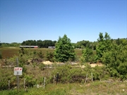 Duxbury MA Real Estate Photo