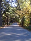 Lincoln MA Real Estate Photo