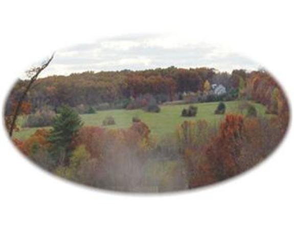 43 Summit Circle