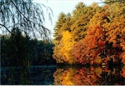 Sudbury MA Real Estate Photo