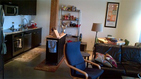 Lofts.com apartments, condos, coops, houses & commercial real estate - South End Lofts (Condo)