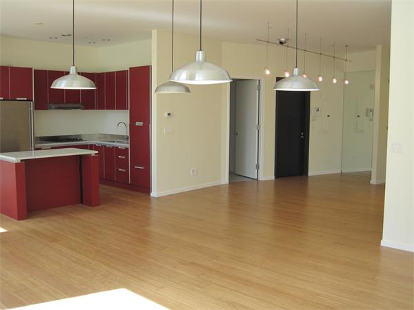 Lofts.com apartments, condos, coops, houses & commercial real estate - South Boston Lofts (Condo)