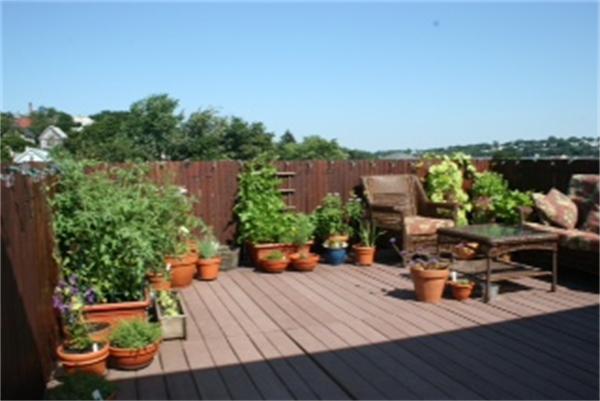 Lofts.com apartments, condos, coops, houses & commercial real estate - Chelsea Lofts (Condo)