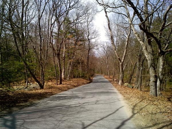 194  Pond Road,  Wellesley, MA