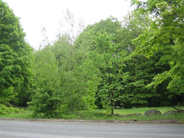 99  Long Pond Rd,  Tyngsborough, MA