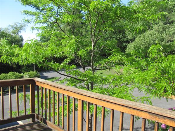 707  Fairway Avenue,  Montague, MA