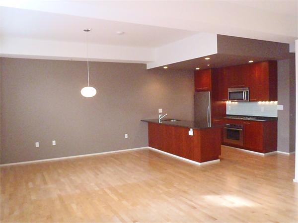 Lofts.com apartments, condos, coops, houses & commercial real estate - South End Lofts (Condo)