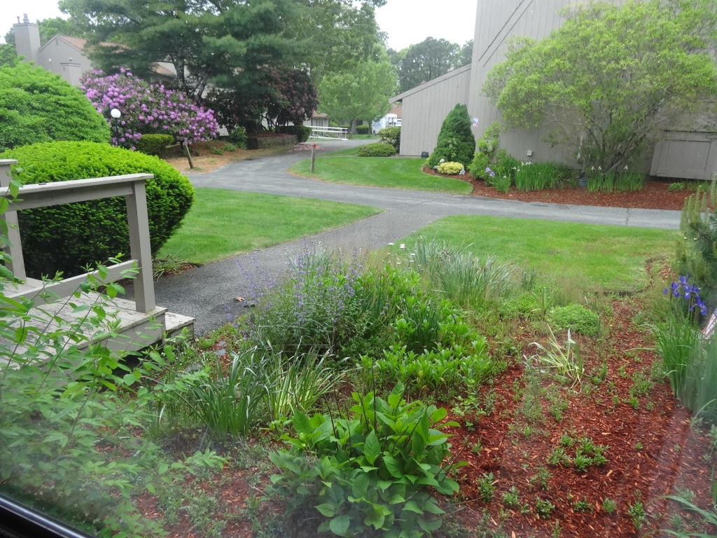 Condos For Sale in Yarmouth, MA Yarmouth MLS Search Yarmouth Real