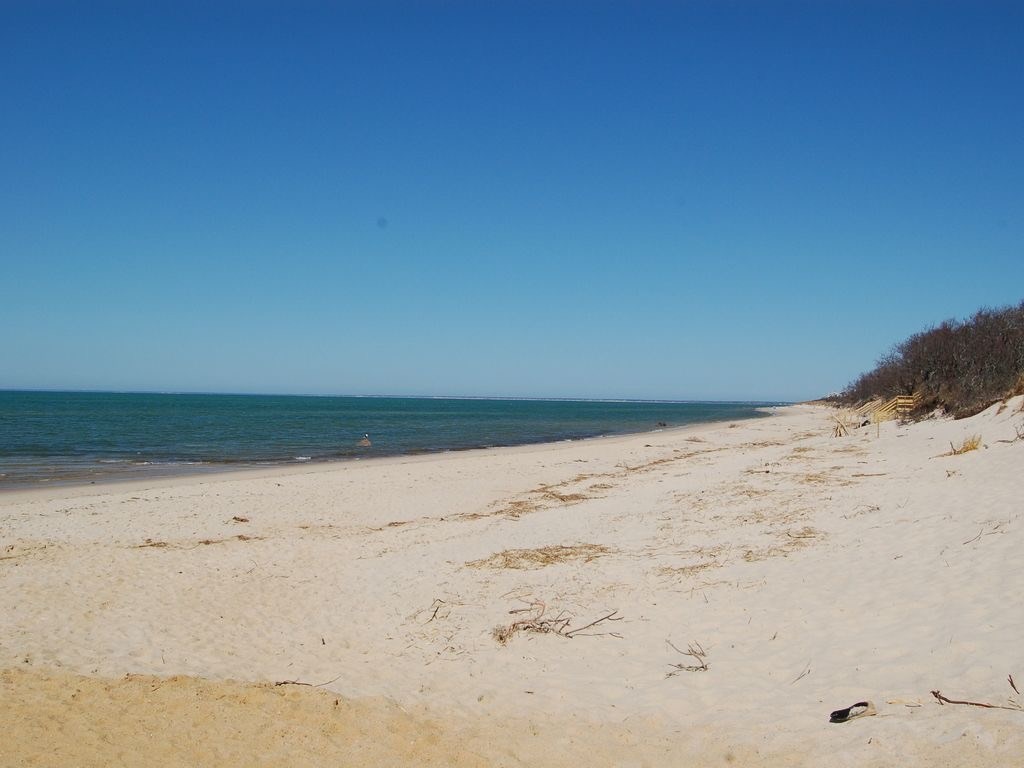 91 Tracy Lane, Brewster, MA 02631