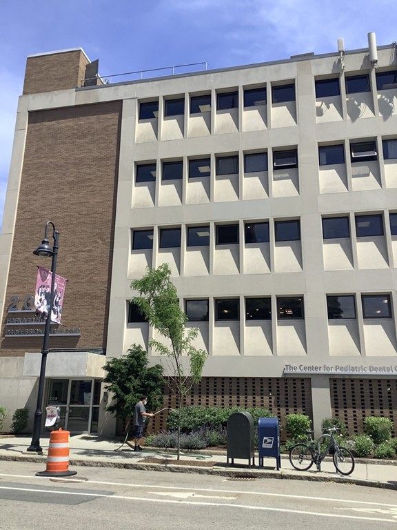 209 Harvard, Brookline, MA 02446