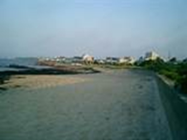 Rentals In Mattapoisett Ma Jack Conway Realtor