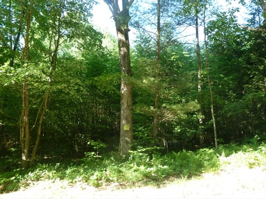 Lot 1 West Gill Road, Gill, MA: $194,900