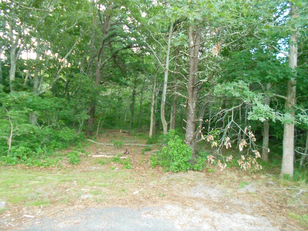 A short walk away from Onset center &  neighborhood beach. Two lots  approximately 152 feet beyond 12 Broad Street (Red House).  Lot  A5 corner lot on Broad with approximately 114 feet of frontage (abuts  Wareham Trust land).   Assessed as "developable" by town.  Property has been surveyed and markers in place,. Portion of land where house to be built is above sea level (NOT in flood zone).  Attached to this listing 2009 Permit to Build letter (which has expired), copy of 2018 survey with markers.  Seller is in process of obtaining a new Permit to build and will work with perspective buyer for design/location of house. .