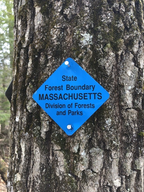 Warwick MA Real Estate for Sale Four Columns Realty