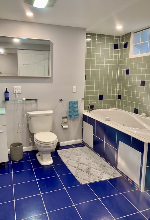 726 Metropolitan Ave, Hyde Park