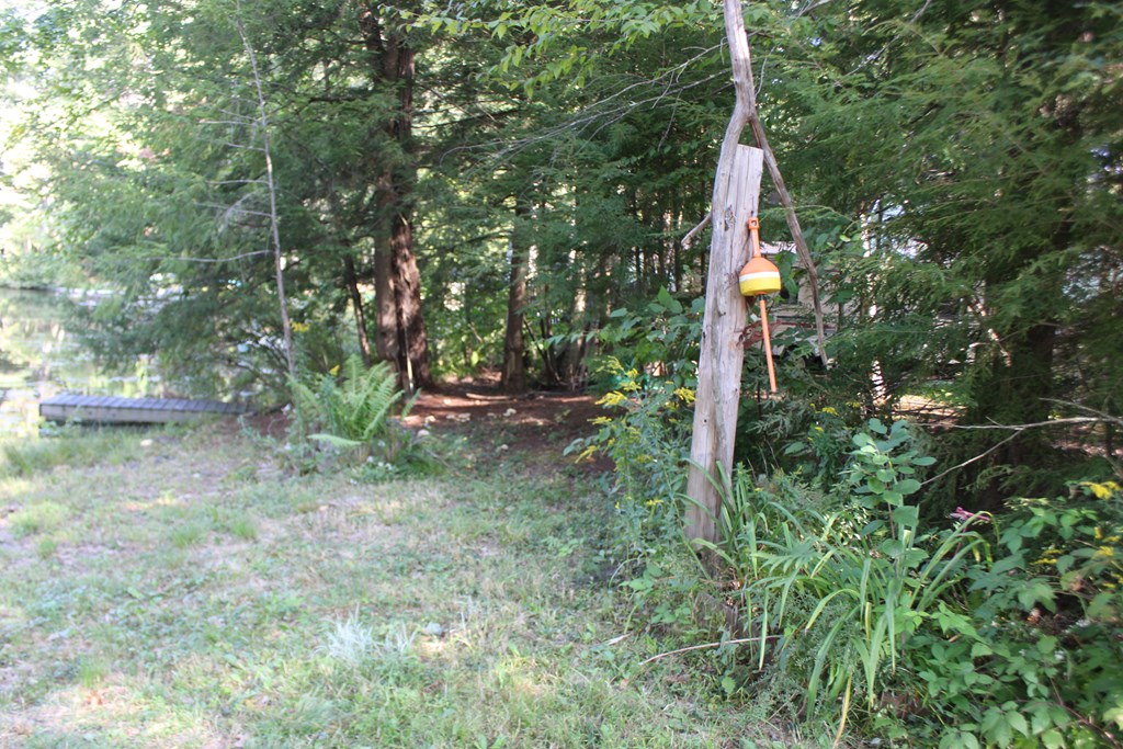 shutesbury - #72731576