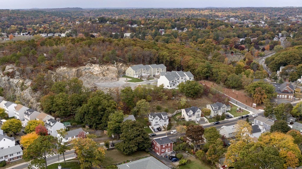 Blueberry Hill Lane Estate Condos Current Listings and Pictures