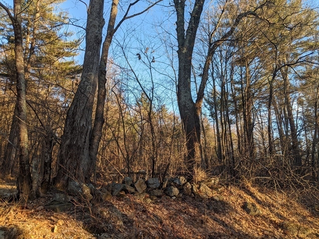 Lot 3 Old County Road Holland MA 01521