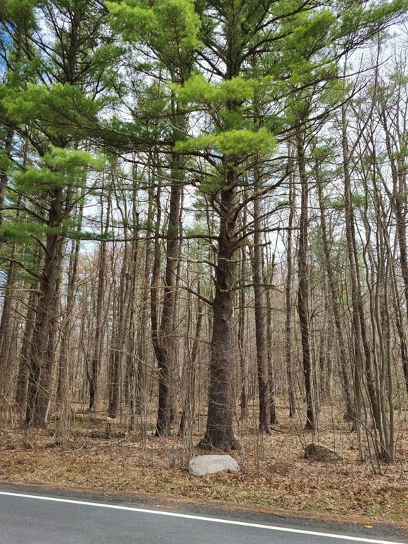 Petersham MA Real Estate for Sale Four Columns Realty