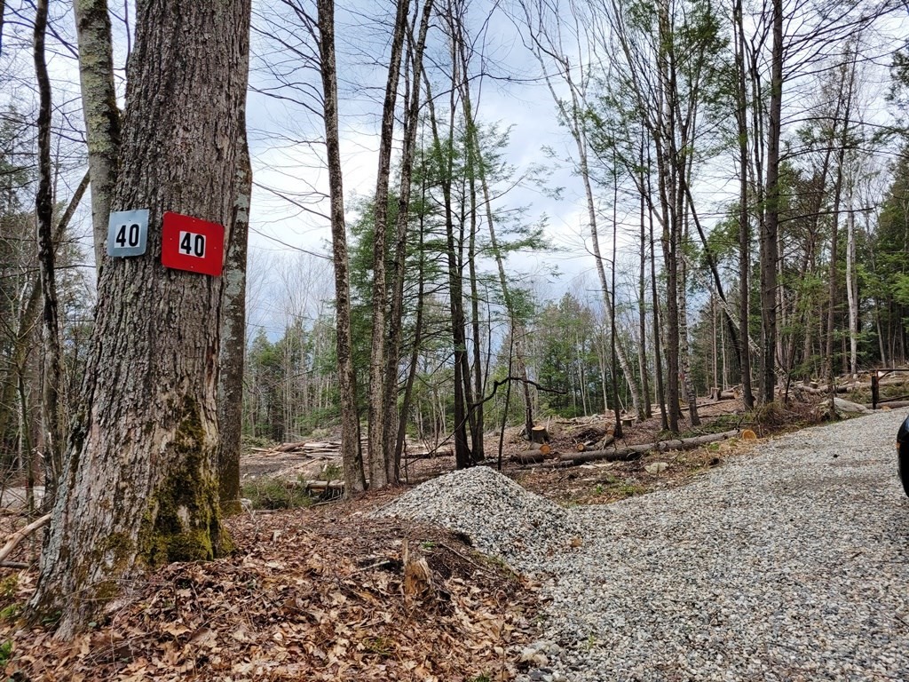 Huntington Land for Sale 75,000