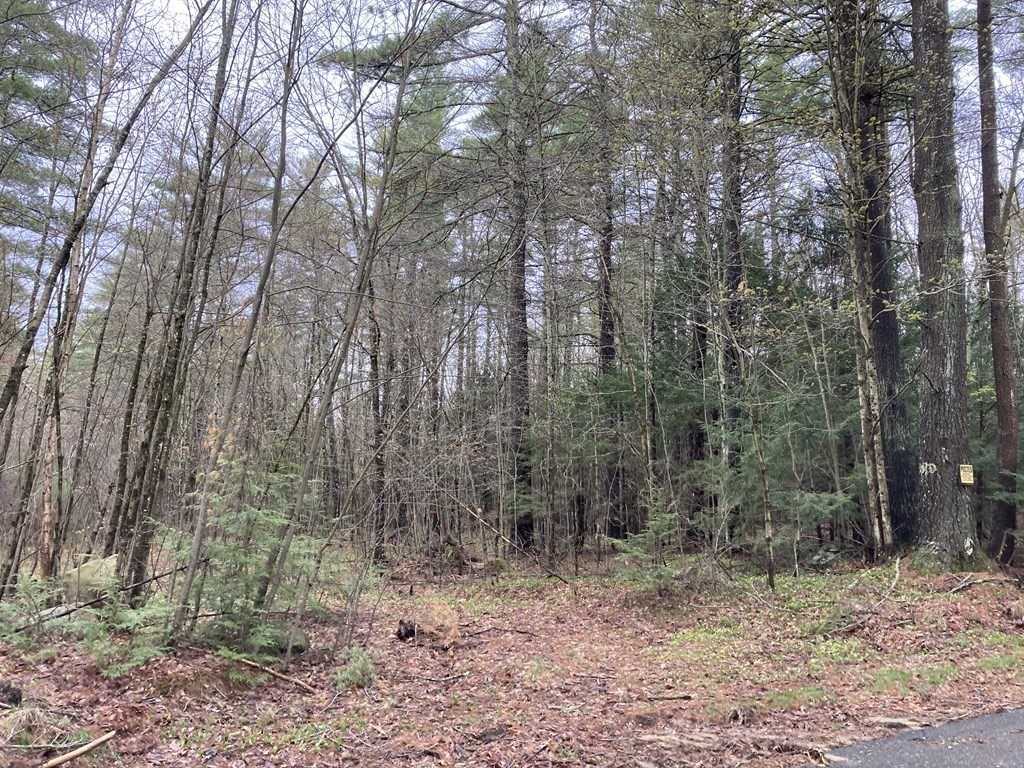 New Salem MA Real Estate for Sale Four Columns Realty