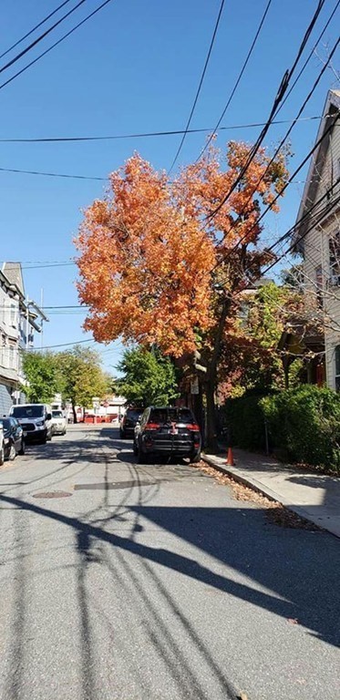 15 Carlton St, Ball Square