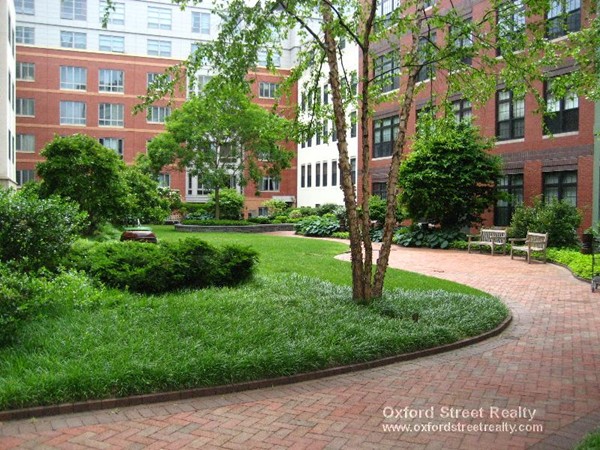 17 Otis St, East Cambridge