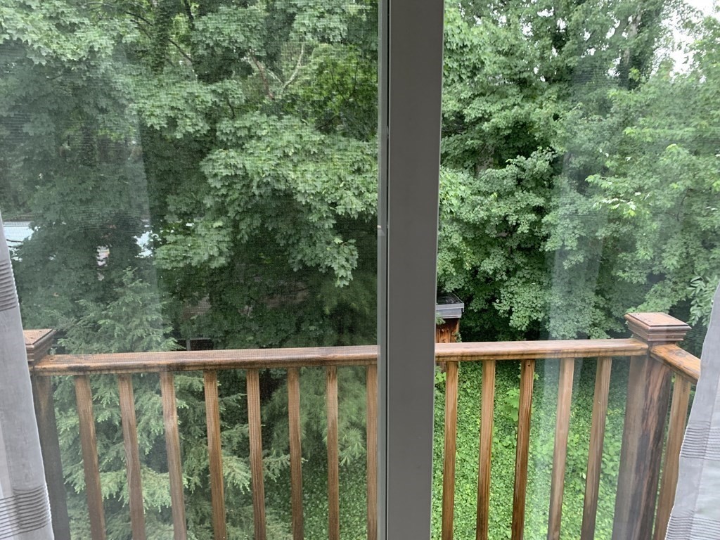 8 Camden Pl, Harvard Square