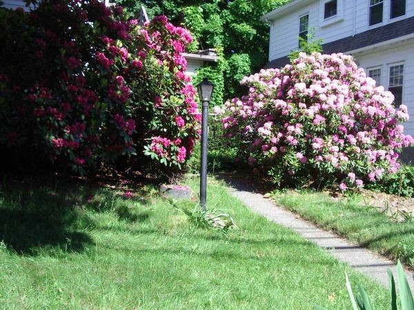 59 Surrey St, Brighton