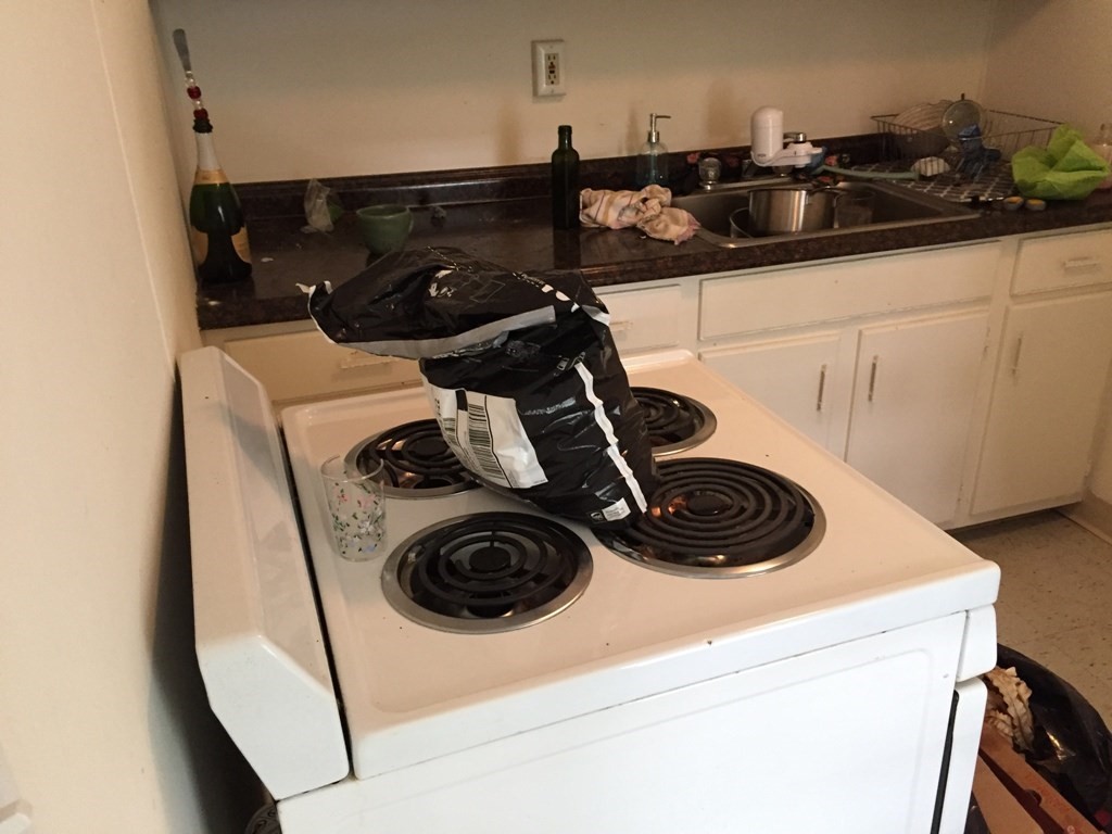 38 Oak St, Chinatown