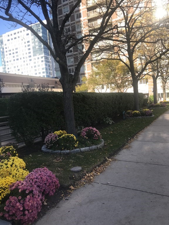 10 Museum Way, East Cambridge