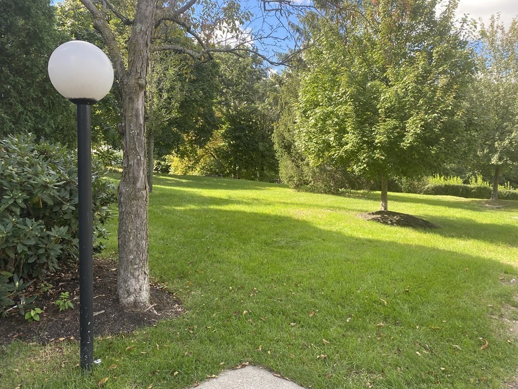 37B Morton St, Jamaica Plain