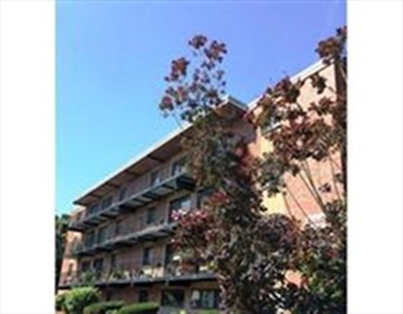 5 Linda Ln, Dorchester