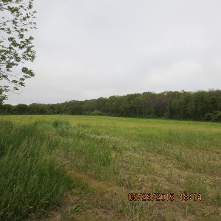 Fantastic farmland with unlimited potential. One parcel containing 99+ acres with 900+ frontage on Sodom Rd in beautiful south Westport. An unpaved access road gives way to the rear of the property. No engineering done. Improve this land and build something remarkable.