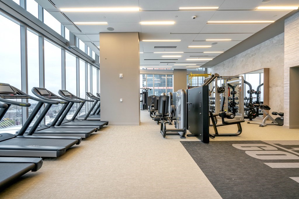 50 Causeway St, North End