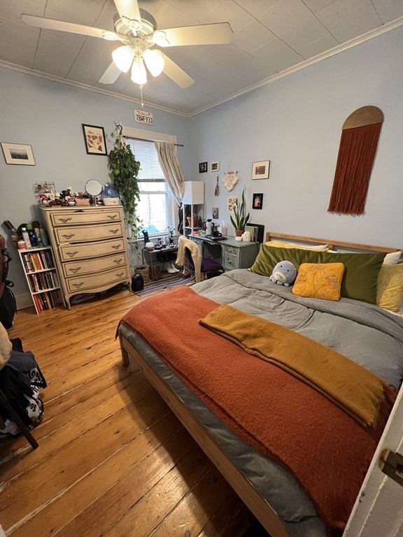 12 14 Hancock St, Davis Square