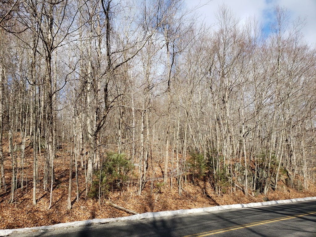0 East River Rd Lot 14 Map 409, Chester, MA 01050