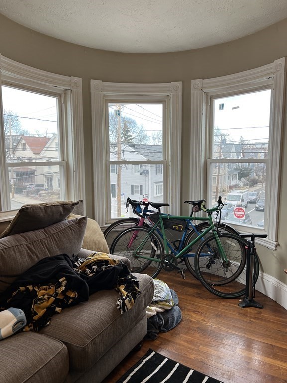 59 Cedar St, Spring Hill