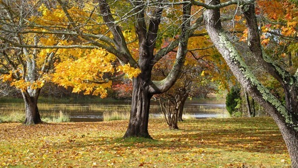 58 Sumner St, West Gloucester