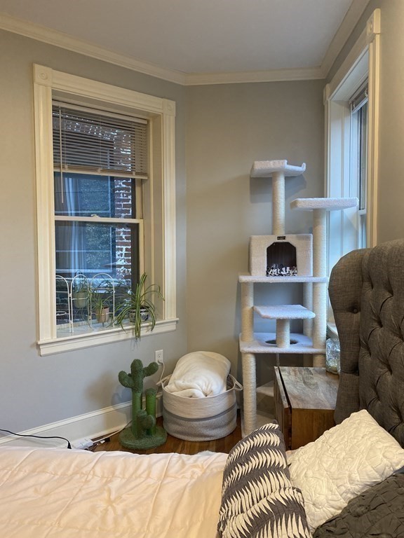 81 Phillips St, Beacon Hill