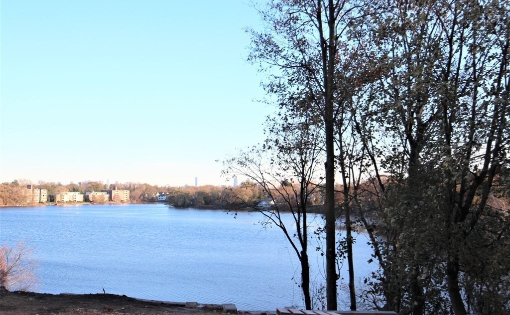 125 Pleasant St, Arlington