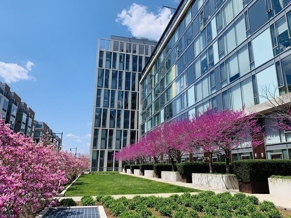 2 Earhart St, East Cambridge