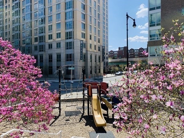 2 Earhart St, East Cambridge