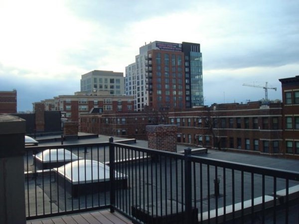 24 Peterborough St, Fenway