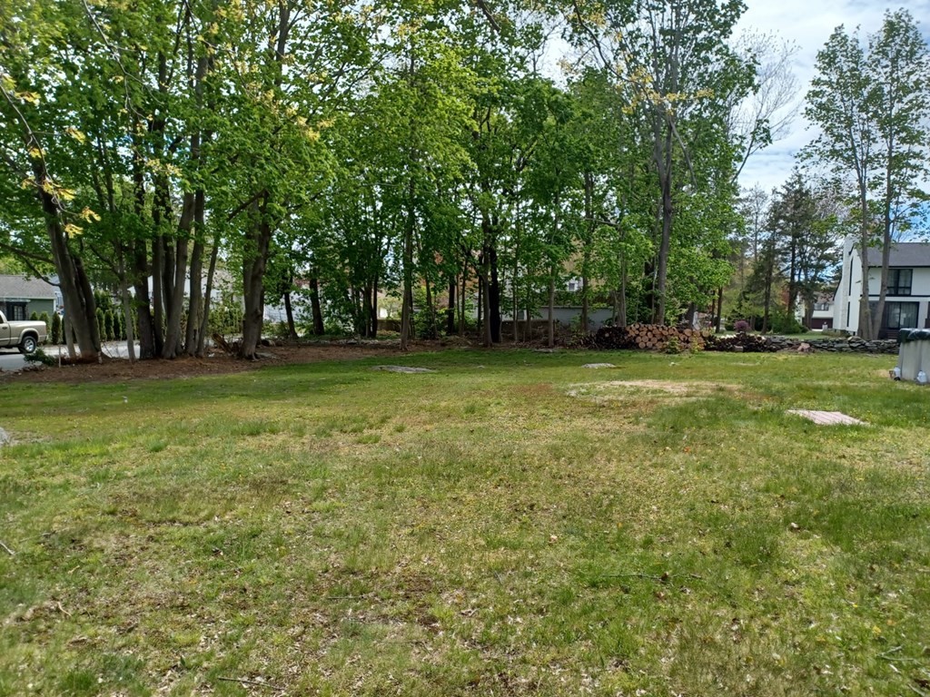 One of the ONLY affordable opportunities in the area for an adventurous individual to possibly build their own home!! Great location, - Horseshoe hook off Somerset ave and also frontage on Florida St. - entrance to an awesome single family neighborhood! Cleared & flat land with some older/mature boundry trees. Seller feels the land is developable & buildable. Surveyor already drew sub-dividing plans for new buyer. Permits & approvals will be at the Buyers cost. Parcel has frontage on 2 streets County St. & Florida St