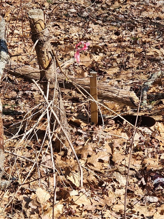 0 Brookfield Road, Brimfield, MA 01010 - Image 4