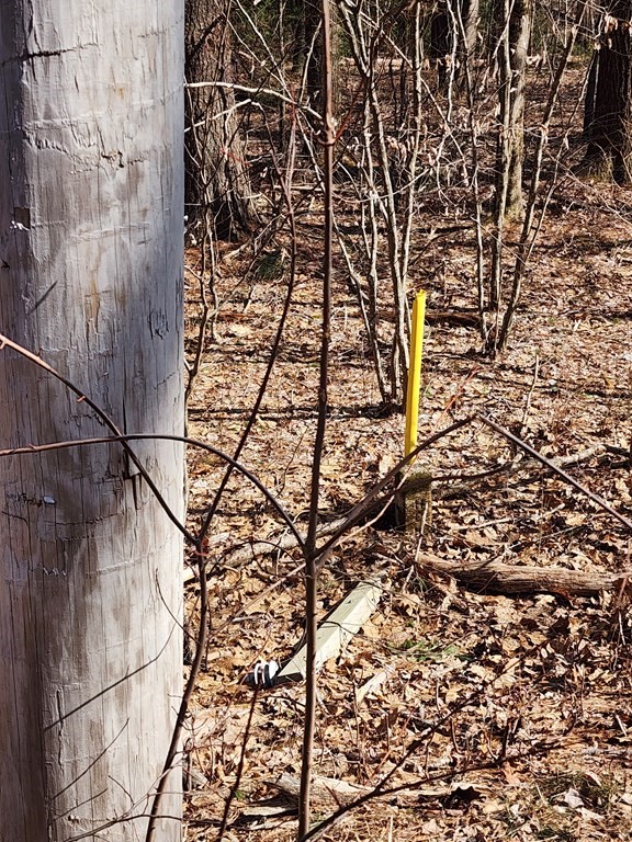 0 Brookfield Road, Brimfield, MA 01010 - Image 5