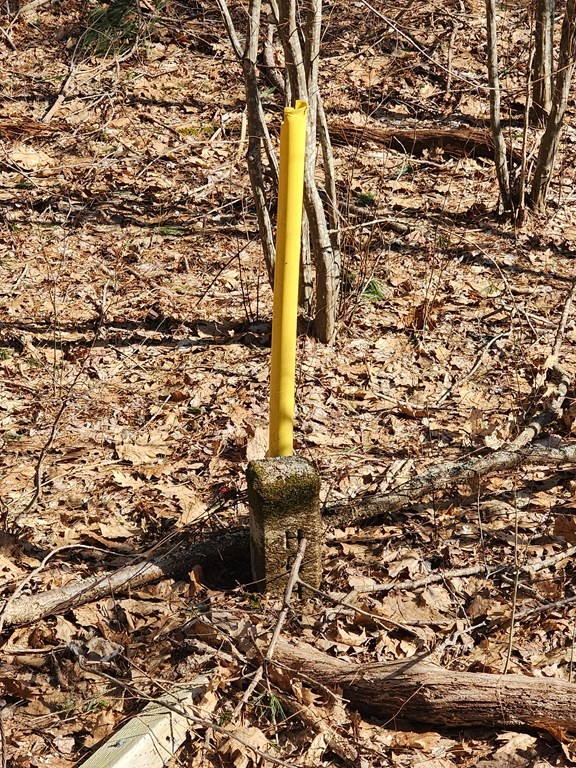 0 Brookfield Road, Brimfield, MA 01010 - Image 6