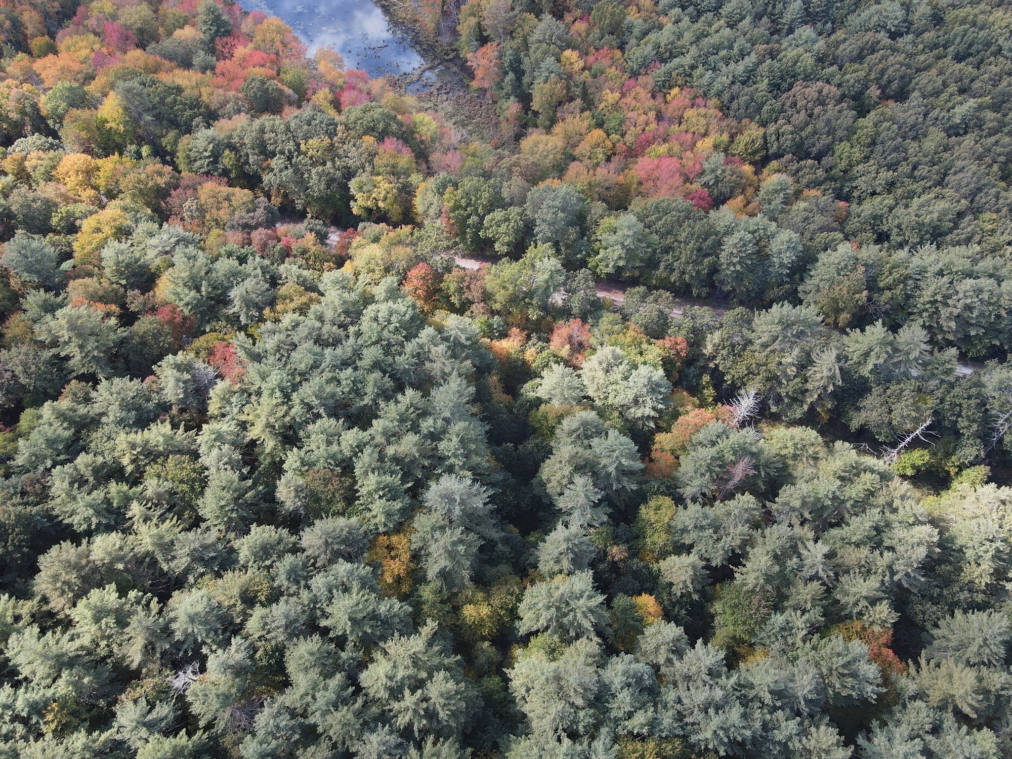 54 Prospect Hill Rd, Harvard, MA 01451 - Image 4