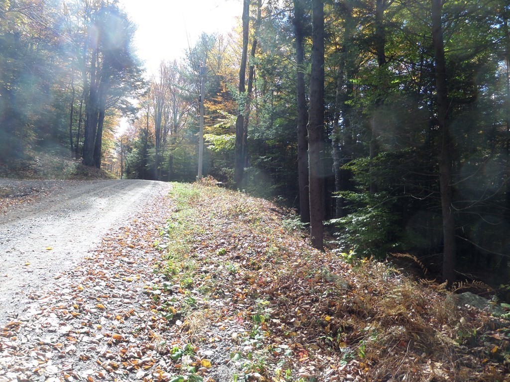 0 Thayer Hill Rd, Worthington, MA 01098 - Image 4
